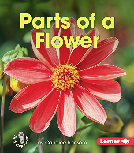 Parts of a Flower by Candice F. Ransom