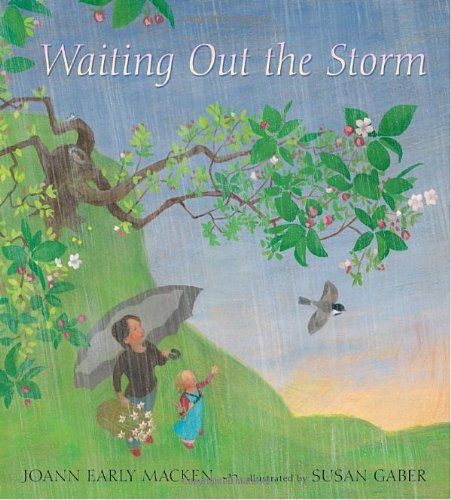 Waiting Out the Storm by JoAnn Early Macken