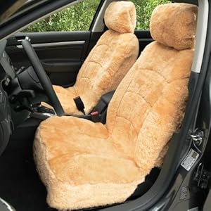 Amazon.com: Sheepskin Car Seat Cover: Automotive