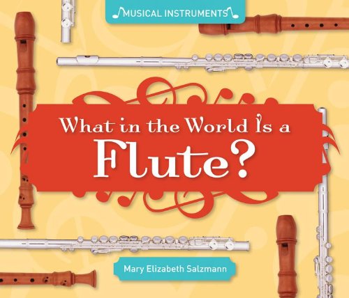 What in the World Is a Flute? by Mary Elizabeth Salzmann