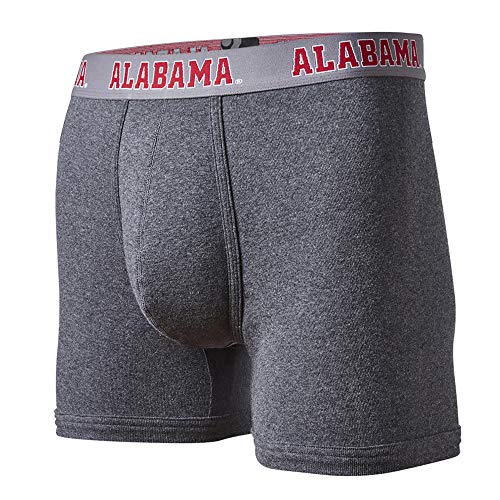 Algopix Similar Product 3 - FANDEMICS NCAA University of Alabama