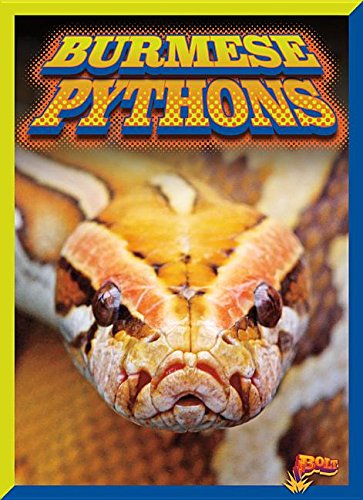 Burmese Pythons (Invasive Species Takeover) by Barbara Ciletti