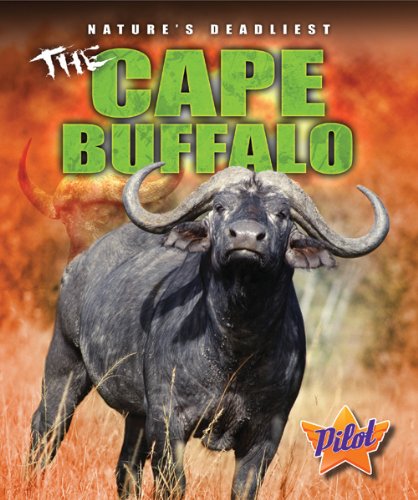 The Cape Buffalo by Lisa Owings
