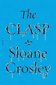 The Clasp: A Novel