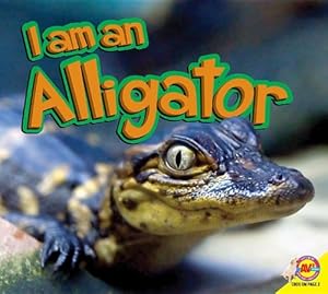 Alligator