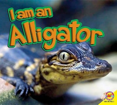 Alligator