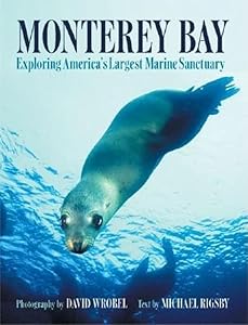 Monterey Bay: Exploring America's Largest Marine Sanctuary by Mike Rigsby