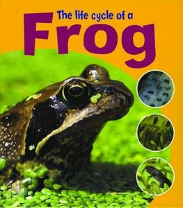 The Life Cycle of a Frog (Learning about Life Cycles)