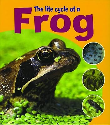 The Life Cycle of a Frog (Learning about Life Cycles)