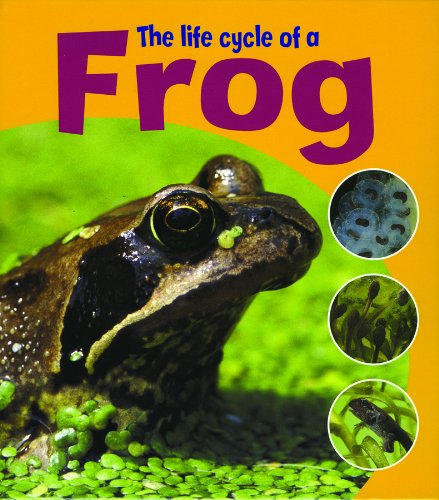 The Life Cycle of a Frog (Learning about Life Cycles) by Ruth Thomson