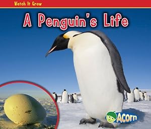 A Penguin's Life