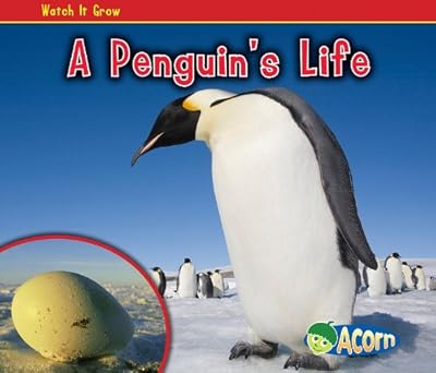 A Penguin's Life