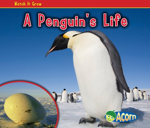 A Penguin's Life by Nancy Dickmann