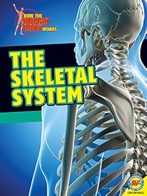 The Skeletal System
