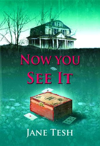 Now You See It: A Grace Street Mystery by Jane Tesh
