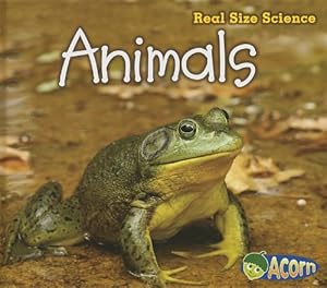 Animals: Real Size Science