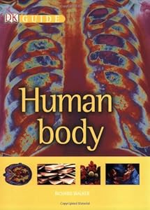 Human Body (DK Guides)
