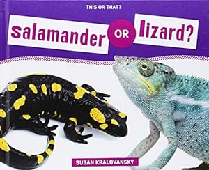 Salamander or Lizard?