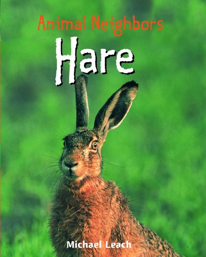 Hare by Michael Leach
