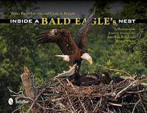 Inside a Bald Eagle's Nest: A Photographic Journey Through the American Bald Eagle Nesting Season