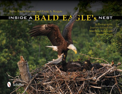 Inside a Bald Eagle's Nest: A Photographic Journey Through the American Bald Eagle Nesting Season by Teena Ruark Gorrow