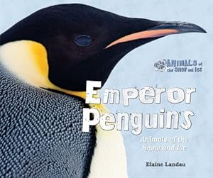 Emperor Penguins