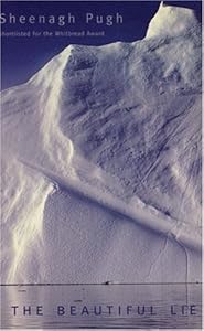 The Beautiful Lie by Sheenagh Pugh