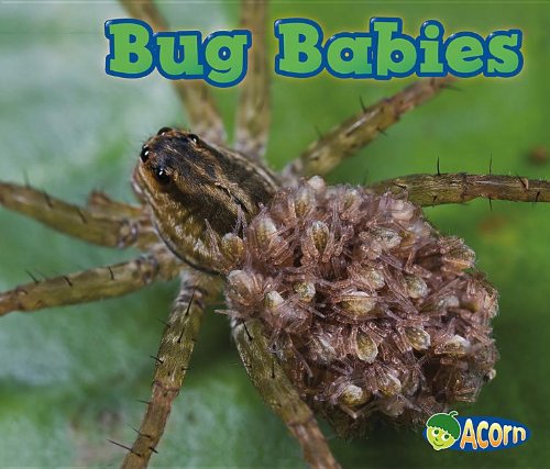 Bug Babies by Catherine Veitch
