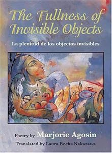 FULLNESS OF INVISIBLE OBJECTS / LA P