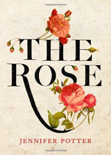 The Rose by Jennifer Potter