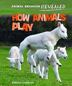 How Animals Play by Rebecca Stefoff