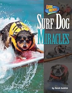 Surf Dog Miracles