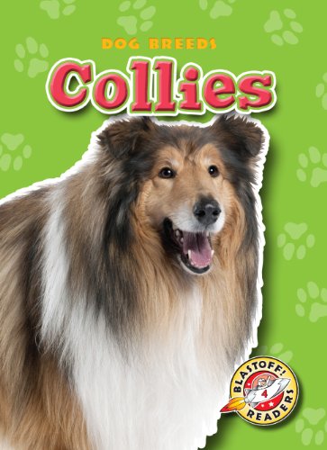 Collies by Sara Green