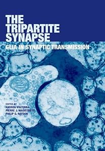 The Tripartite Synapse: Glia in Synaptic Transmission by Andrea Volterra