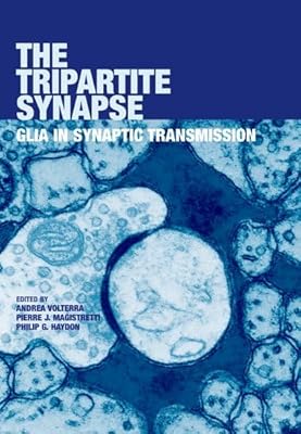 The Tripartite Synapse: Glia in Synaptic Transmission