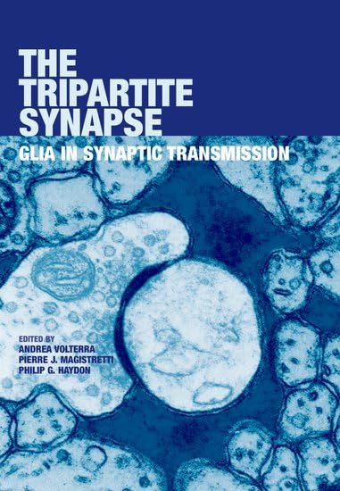The Tripartite Synapse: Glia in Synaptic Transmission by Andrea Volterra