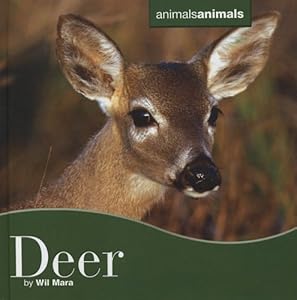 Deer Deer (Animals Animals)