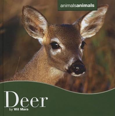 Deer Deer (Animals Animals)