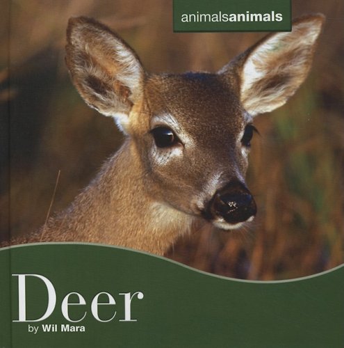 Deer Deer (Animals Animals) by Wil Mara