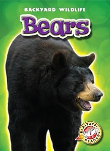 Bears