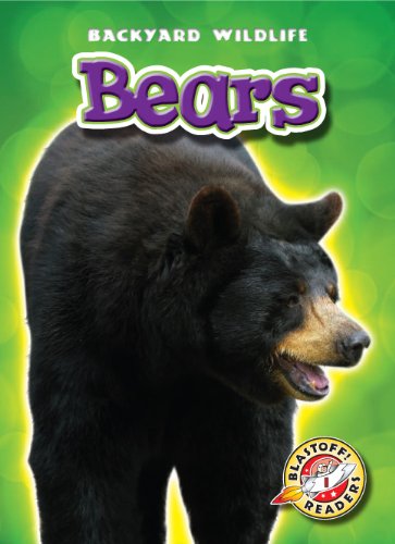 Bears by Emily Green
