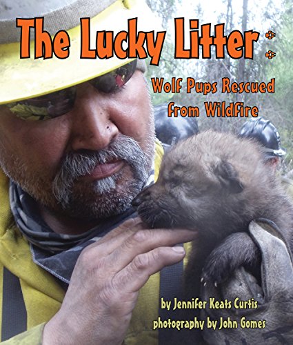 The lucky litter : wolf pups rescued from wildfire by Jennifer Keats Curtis
