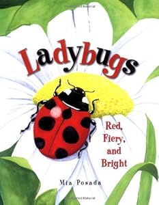 Ladybugs: Red, Fiery, and Bright