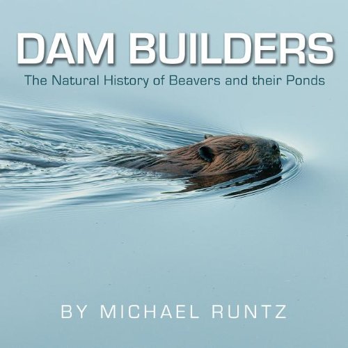 Dam Builders: The Natural History of Beavers and their Ponds by Michael Runtz