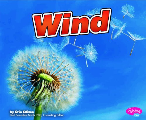 Wind by Erin Edison