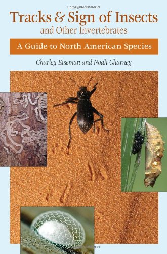 Tracks &amp; Sign of Insects and Other Invertebrates: A Guide to North American Species by Noah Charney