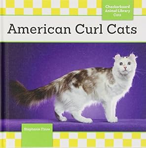American Curl Cats