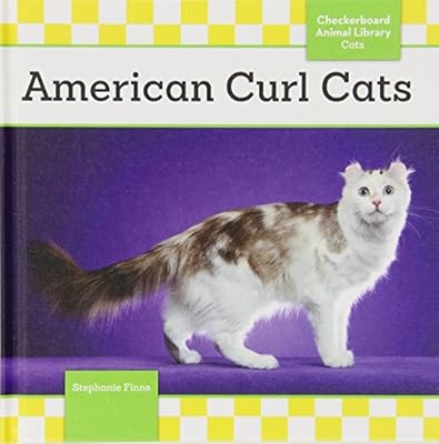 American Curl Cats