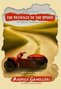 The Patience of the Spider