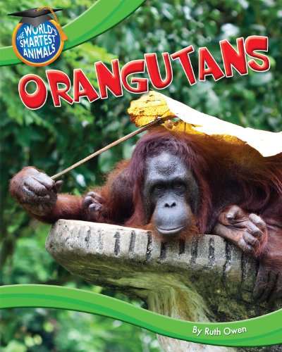 Orangutans by Ruth Owen